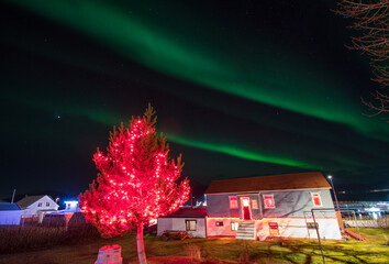 Aurora borealis and christmas lights on island of Hrisey in North Iceland