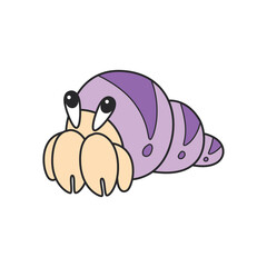 Cute hermit crab