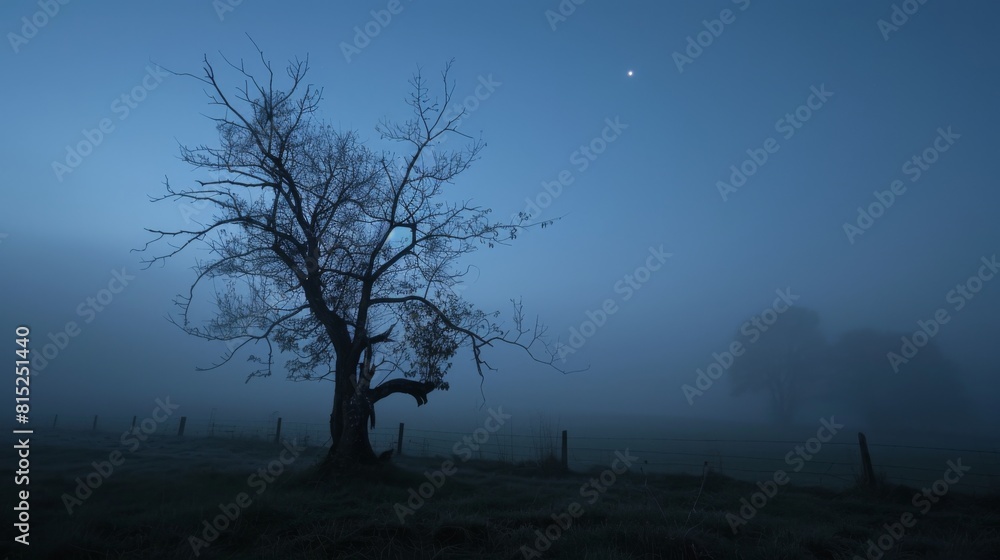 Wall mural a large tree with a lot of branches is in a foggy forest