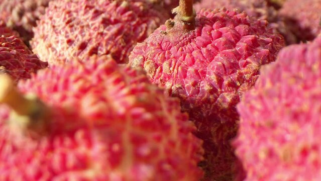 Dive into a vibrant world of tropical allure with a close-up of luscious lychee fruits. Their scarlet skin, adorned with prickly spikes, beckons with promises of sweet indulgence.
