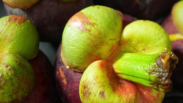 Behold the exquisite beauty of mangosteen up close, a luscious contrast of velvety dark purple skin and fresh green crowns. Nature's artwork, inviting exploration with its vibrant allure.
