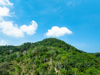 Aerial view Drone camera top view rainforest trees ecology with healthy environment concept and summer background,Green environment background