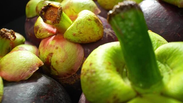Explore the tantalizing beauty of mangosteen as its rich purple skin meets the vivid green calyx. A close-up view unveils its lustrous texture, enticing you to savor its tropical delight.
