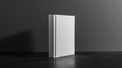 A solitary white book stands upright on a dark background, evoking simplicity and mystery