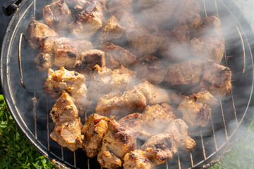 Close-up of grilled meat
