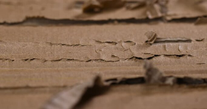 old crumpled and damaged waste paper cardboard, damaged packaging cardboard close-up