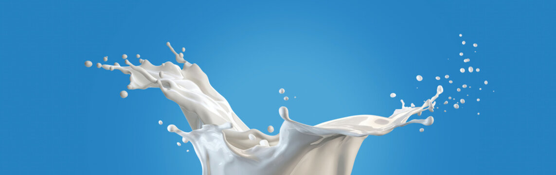 splattered milk splash, pouring white liquid flow for low, full, skimmed fat dairy products over blue clean isolated background as wide commercial banner design with copyspace
