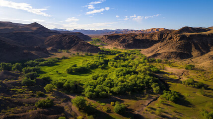 Lush green oasis surrounded by arid desert landscape