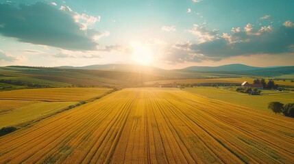 Farmland stretches out beneath the lens of an aerial camera, with fields of crops 