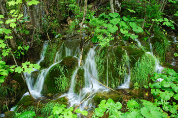 美しいクロアチアのプリトヴィツェ湖群国立公園の風景