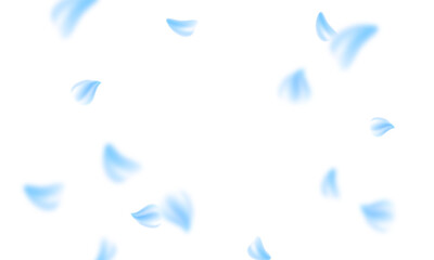 Sakura flying petals on transparent background