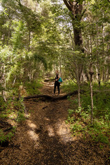 Obraz premium View of a young woman hiking in the forest along the footpath