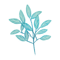 Watercolor flowers illustration on white background