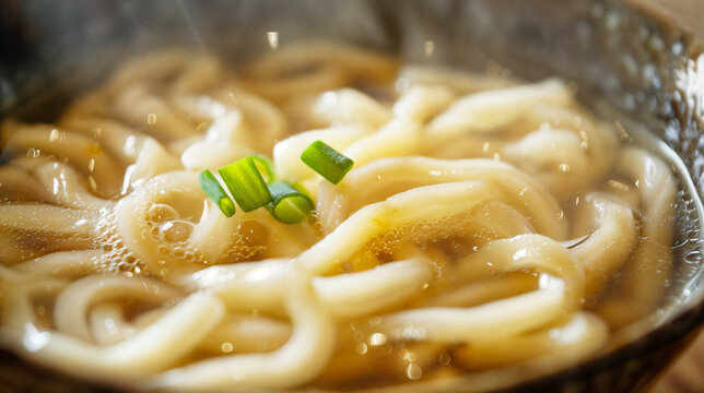 うどん、Udon