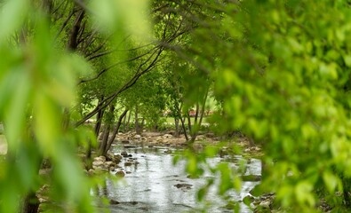 신록이 아름다운 순천만국가정원의 5월