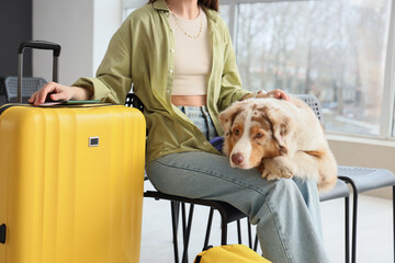 Female tourist with Australian Shepherd dog and suitcase sitting at airport
