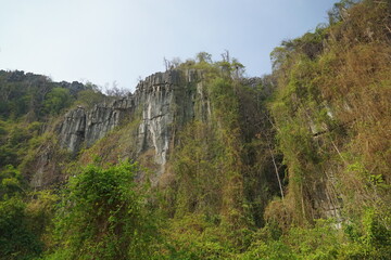 A mountain with a lush green forest on it
