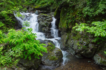 Obraz premium 春の渓谷の清流 鳥取県 小耶馬渓