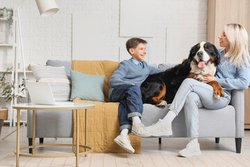 Little boy and his mother with Bernese mountain dog sitting on sofa at home