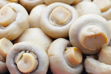 Champignon mushrooms in brine. Canned champignon mushrooms whole