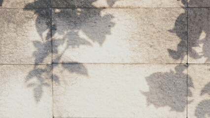 Concrete tile wall background with leaf shadows reflected along with a bright brown-gray gradient. For backdrops, banners, summer, sunny scenes, shining