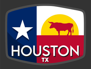 houston texas with texas flag background