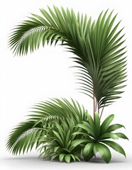 Realistic palm leaves shrubs corner on transparent backgrounds 3d rendering png
