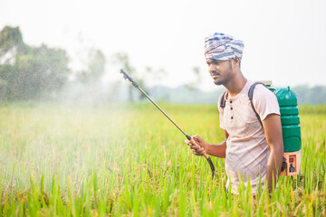 in the paddy field a young farmer spraying pesticides using crop sprayer