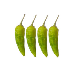 Fresh green chili pepper four pieces. Natural organic chilies vegetable isolated on white background