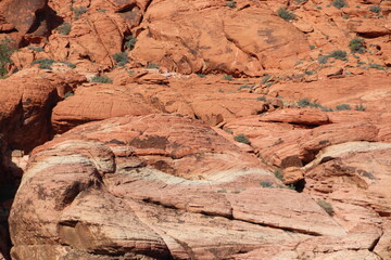 Red Rock Canyon Closeup