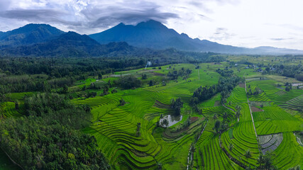 beautiful morning view from Indonesia of mountains and tropical forest