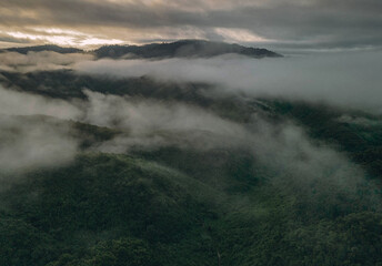 fog in the mountains