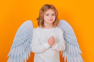 Angel prayer kids. Portrait of cute kid with angel wings with prayer hands, hope and pray concept isolated on studio background. Little angel, valentines day. Angelic kids.