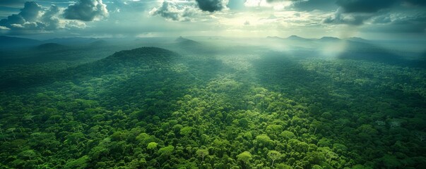 The image shows a lush green rainforest canopy from a bird's eye view, with sunlight filtering through the clouds.