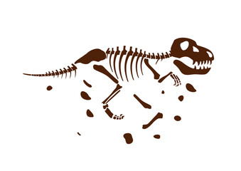 FOSIL DE DINOSAURIO MATERIAL DIDACTICO VECTORIZADO