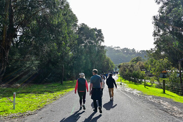 Obraz premium Melbourne VIC, Australia - MAY 31, 2023: Many people walking on the avenue of trees
