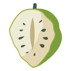 Soursop fruit or sirsak vector illustration isolated
