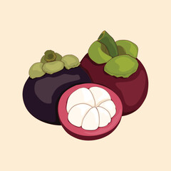 Isolated mangosteen fruits and half cutting fruits . Purple and green mangosteen.Tropical fruit, Summer Asian fruit hand drawing vector illustration. Realistic fruits.Garcinia mangos, anime style