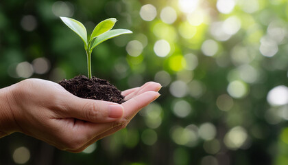 hand holding young plant on blur green nature background. concept eco earth day