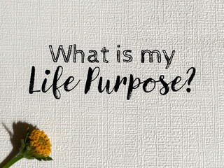 Inspirational motivational quote - What is my life purpose question text on white background. stock photo.
