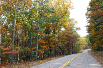 Obraz premium Autumn color in the forest along Ozark Run Scenic Byway in Missouri