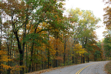 Autumn color in the forest along Ozark Run Scenic Byway in Missouri