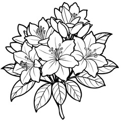 Azalea flower outline illustration coloring book page design, Azalea flower black and white line art drawing coloring book pages for children and adults
