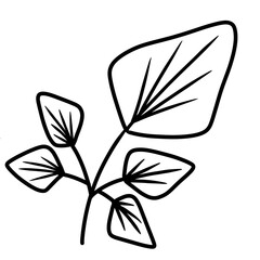 Flower and leaf nature doodle