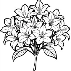 Azalea flower outline illustration coloring book page design, Azalea flower black and white line art drawing coloring book pages for children and adults
