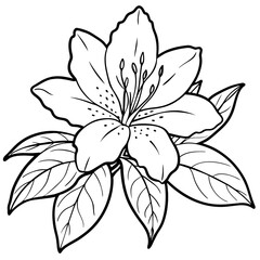 Azalea flower outline illustration coloring book page design, Azalea flower black and white line art drawing coloring book pages for children and adults
