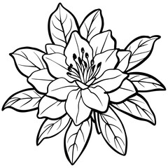 Fototapeta premium Azalea flower outline illustration coloring book page design, Azalea flower black and white line art drawing coloring book pages for children and adults 