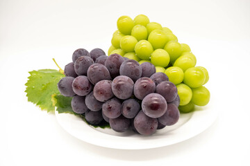 シャインマスカット 巨峰