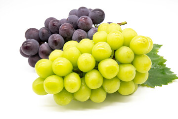 シャインマスカット 巨峰