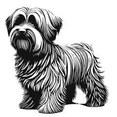 Beautiful Newfoundland dog vector silhouette isolated on white background